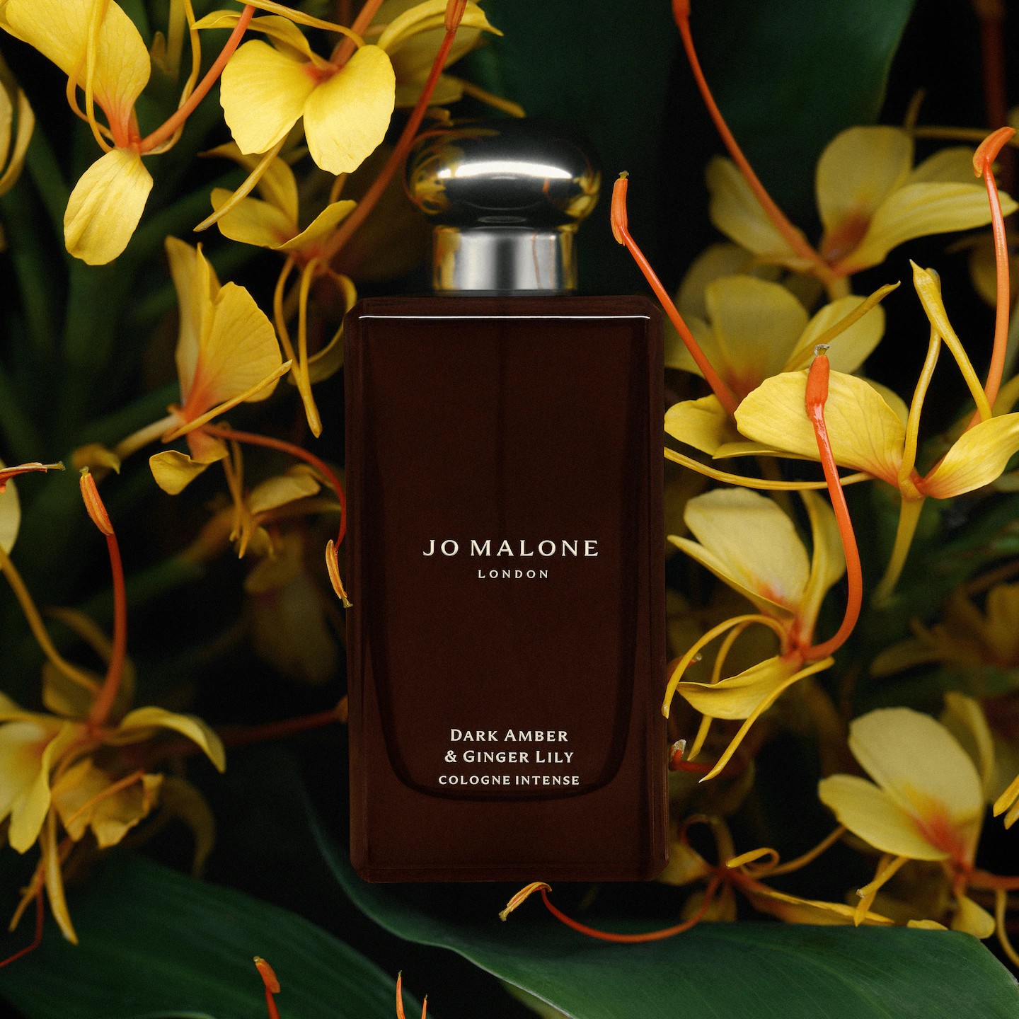 DARK AMBER & GINGER LILY